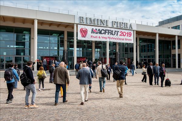 Ismea sceglie Macfrut per lanciare i progetti di sviluppo nel settore agricolo e alimentare